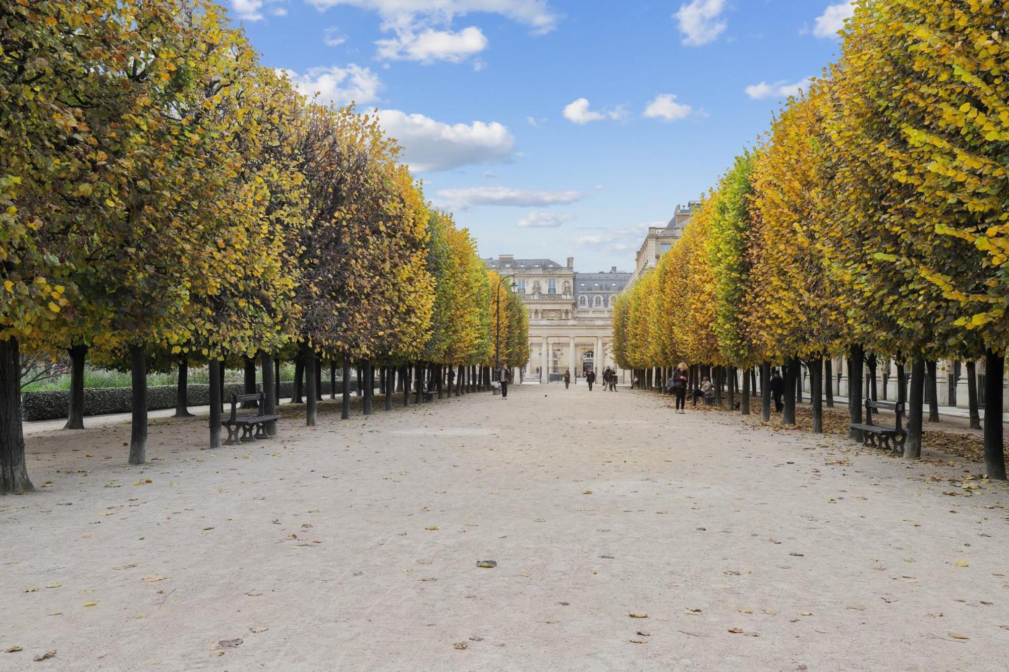 Lavie Maison Face Palais Royal Paryż Zewnętrze zdjęcie